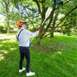 long reach pole saw with lithium battery