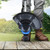 Lawn edge trimmer